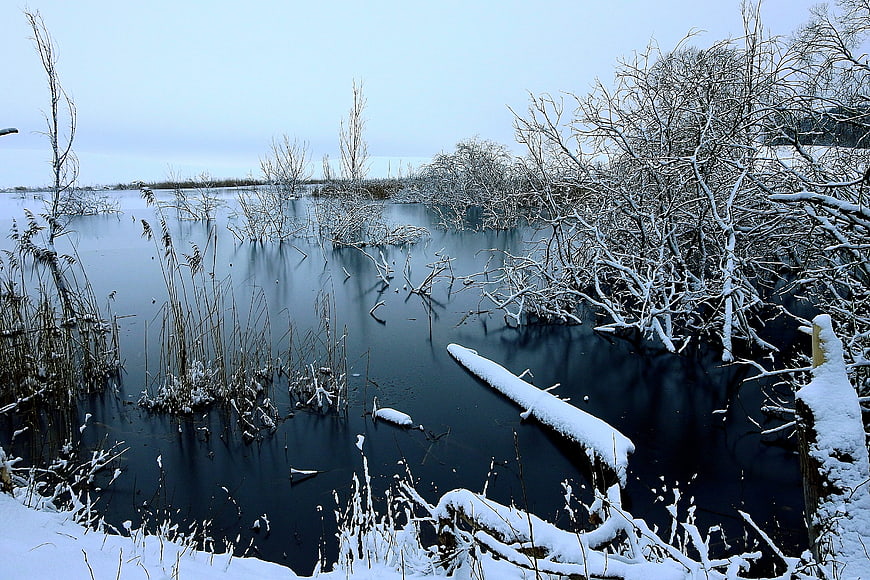 Serene Winter Landscape with Snow-Covered Trees and Dark Water