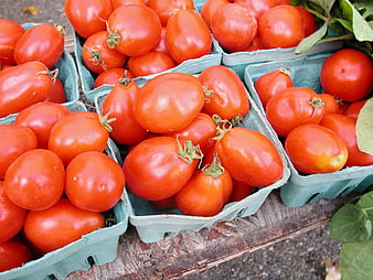Fresh Red Tomatoes in Green Cardboard Trays