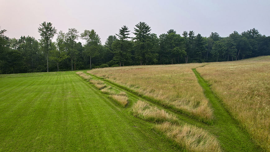 Mowed grass path through tall meadow field with forest background