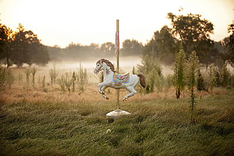 Lone Carousel Horse in Misty Field at Sunset