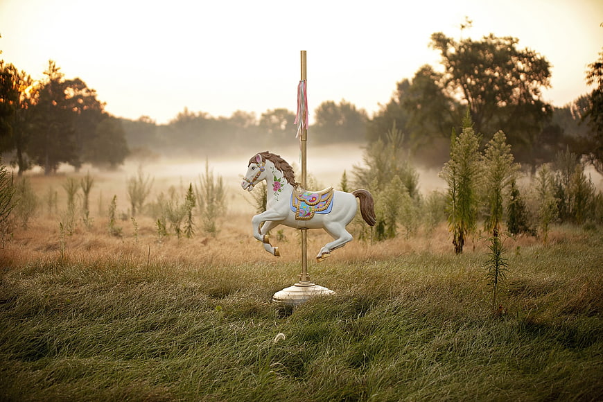 Lone Carousel Horse in Misty Field at Sunset