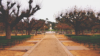 Autumn Path in Golden Gate Park with Fountain and Benches