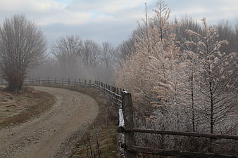 Frosty rural road with wooden fence in winter morning