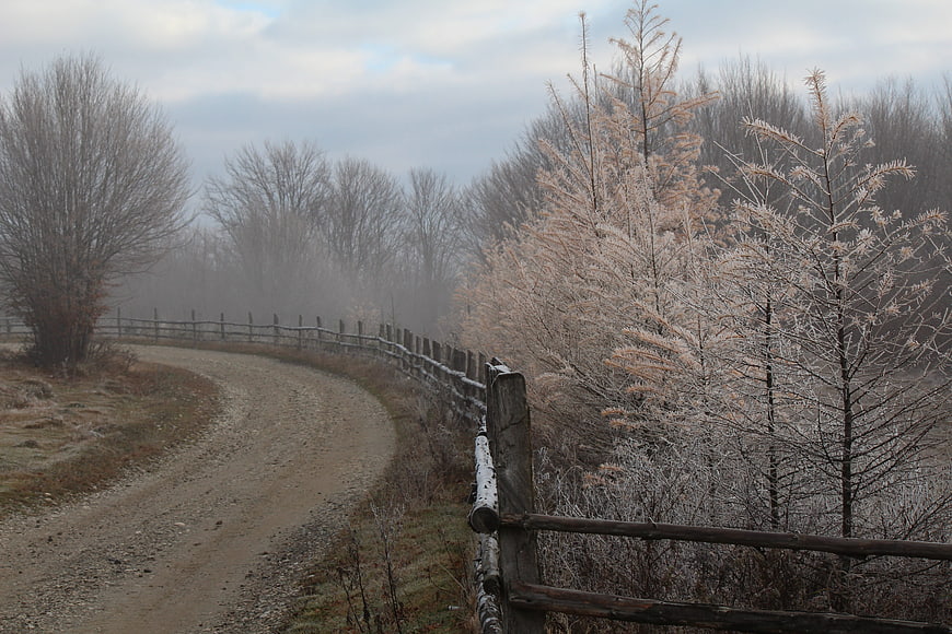 Frosty rural road with wooden fence in winter morning