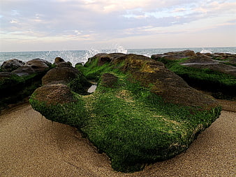 Mossy Rock Formation on Sandy Beach with Ocean Waves