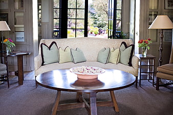 Elegant living room interior with curved sofa and natural light