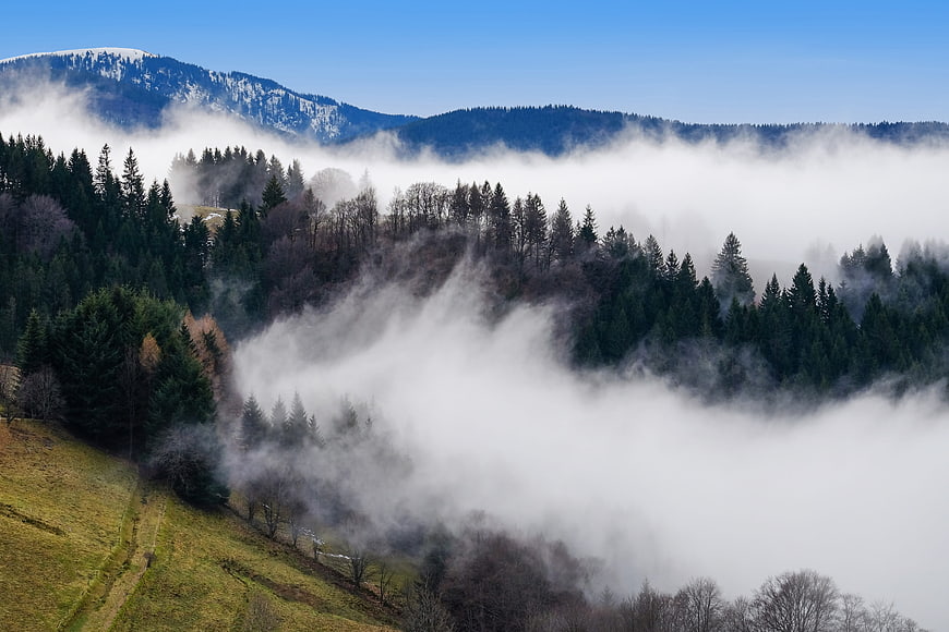 Misty mountain forest landscape with rolling fog and snow-capped peaks