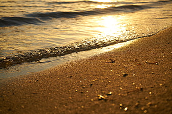 Golden Sunset Waves Washing Over Sandy Beach Shore