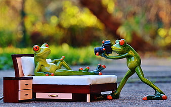 Cute frog figurines photo shoot with miniature bed and camera