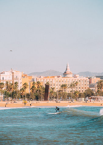 Surfer riding wave on sunny beach with city skyline