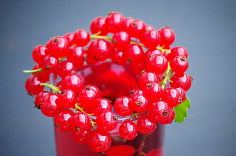 Fresh Red Currants on Glass of Juice