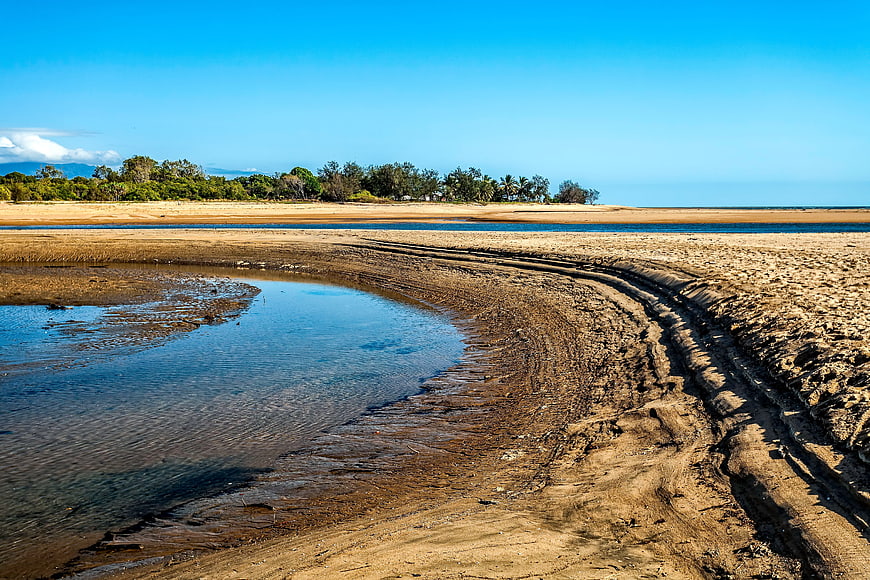 Sandy tidal flats with tire tracks and mangrove forest background