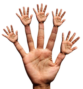 Surreal fractal hand with smaller hands growing from fingers