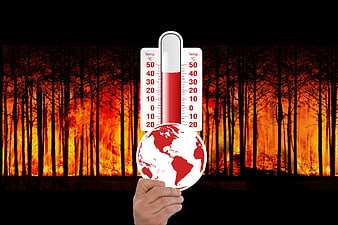 Global Warming Concept With Forest Fire And Thermometer