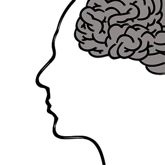 Hand-drawn sketch of human head profile with exposed brain