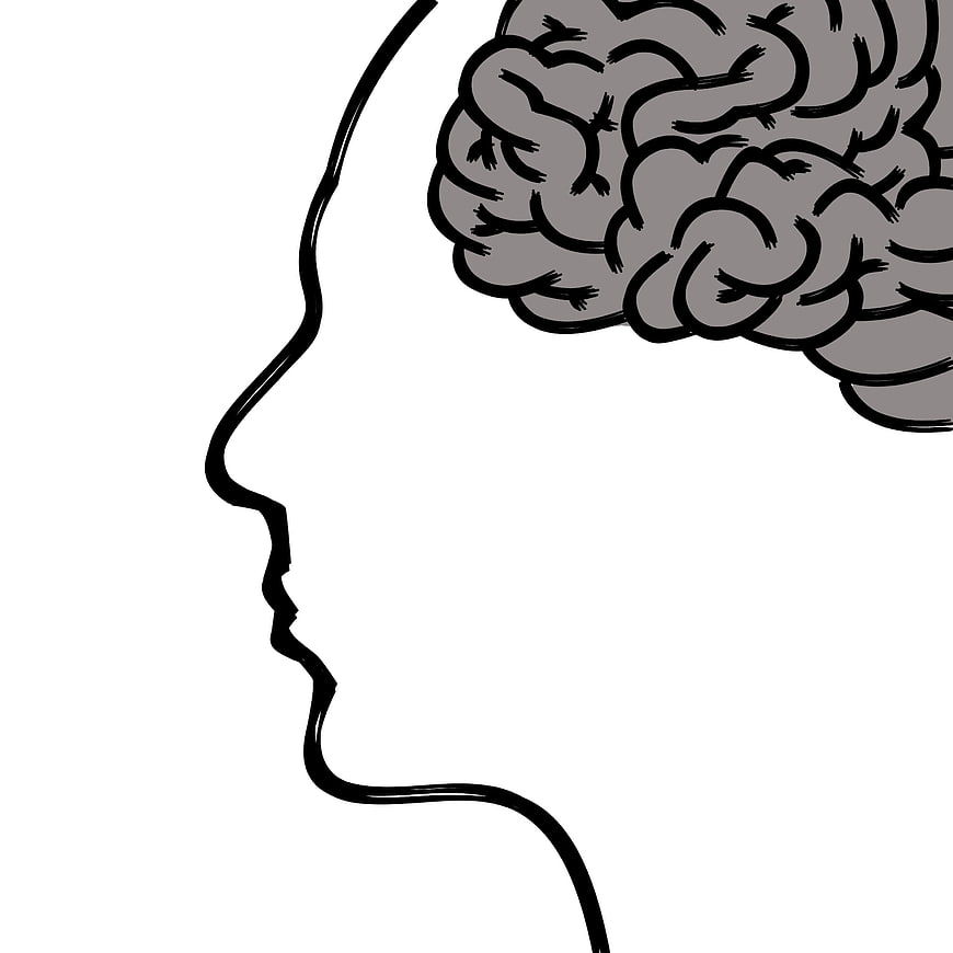 Hand-drawn sketch of human head profile with exposed brain