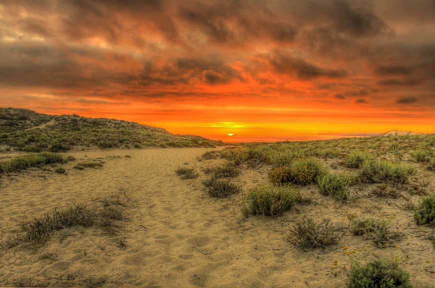 Dramatic Orange Sunset Over Sandy Dunes and Coastal Vegetation