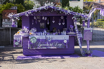 Purple Lavender Market Stall in Italian Town Square