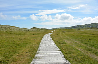 Wooden boardwalk path through green grassy dunes