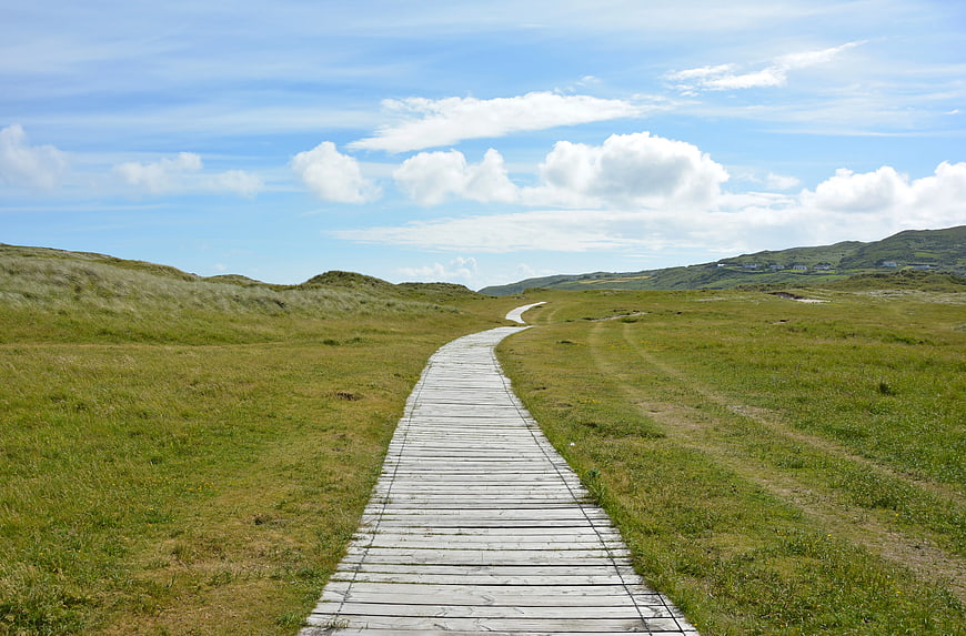 Wooden boardwalk path through green grassy dunes