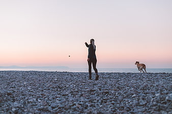 Woman Playing Fetch with Dog on Pebble Beach at Sunset