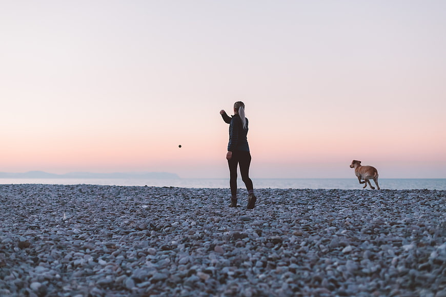 Woman Playing Fetch with Dog on Pebble Beach at Sunset