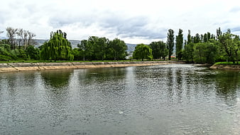 Wide River with Green Trees and Overcast Sky