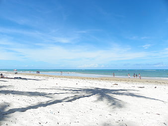Wide View of White Sand Beach and Turquoise Ocean in Brazil