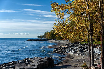 Autumn Shoreline with Yellow Trees and Blue Lake Water