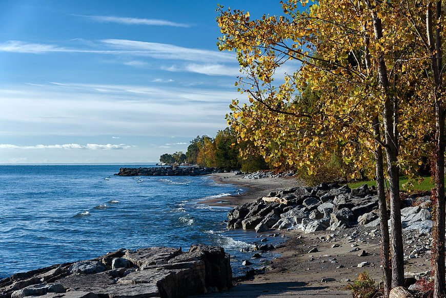 Autumn Shoreline with Yellow Trees and Blue Lake Water