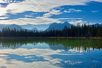 Serene Mountain Lake with Pine Forest Reflection