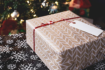 Wrapped Christmas Gift with Blank Tag and Red Ribbon