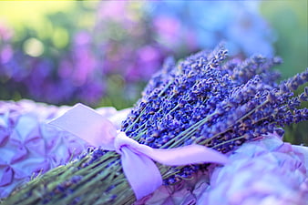 Close-up of lavender bouquet with purple ribbon