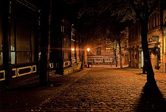 Empty cobblestone street at night with warm street lamps