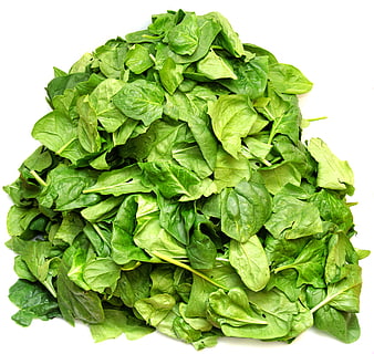 Fresh Spinach Leaves Pile on White Background