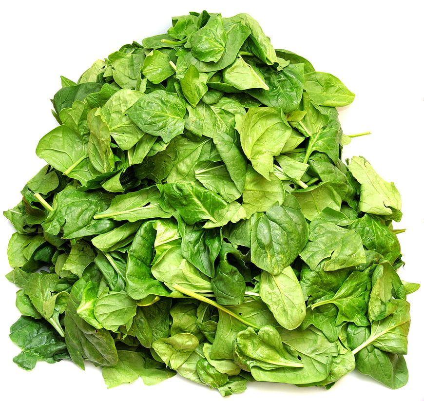 Fresh Spinach Leaves Pile on White Background