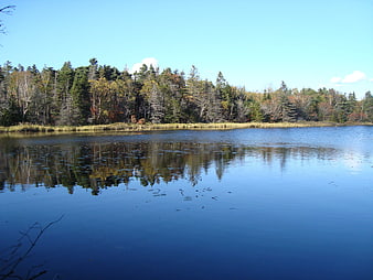 Serene autumn pond with forest reflection and blue sky
