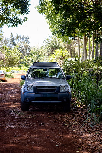 Blue SUV parked on a dirt road in a forest