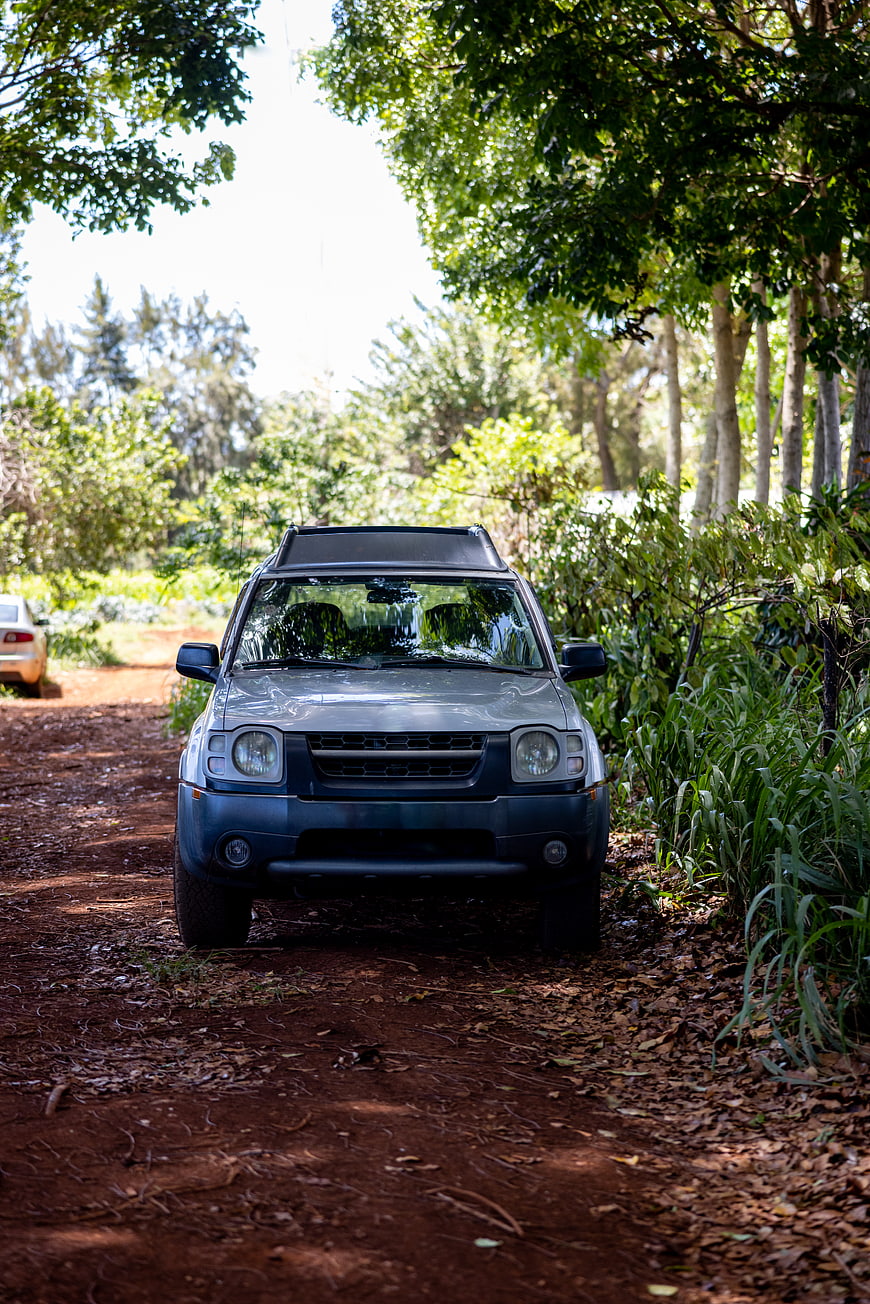 Blue SUV parked on a dirt road in a forest