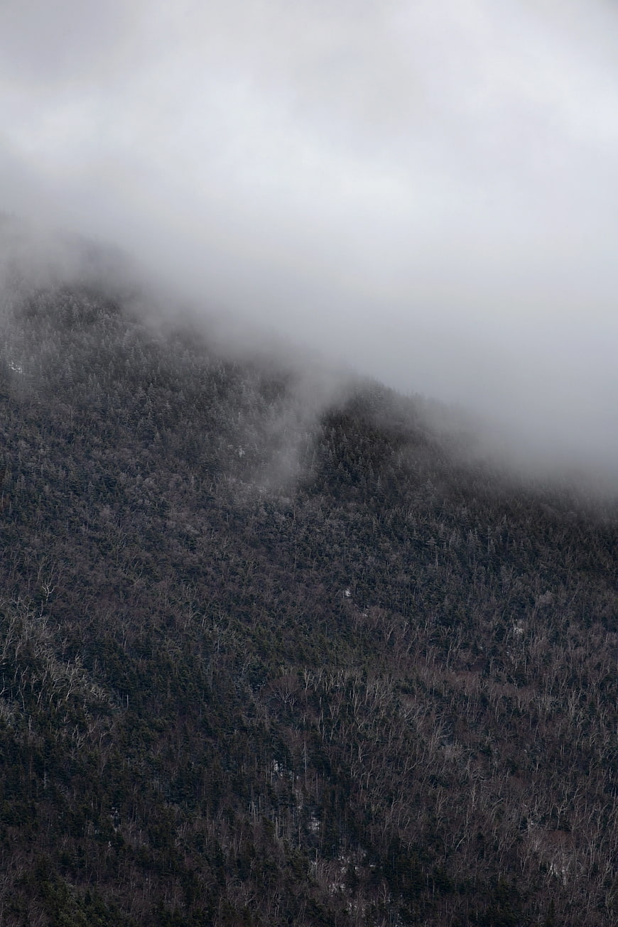 Misty Mountain Forest Landscape in Grayscale