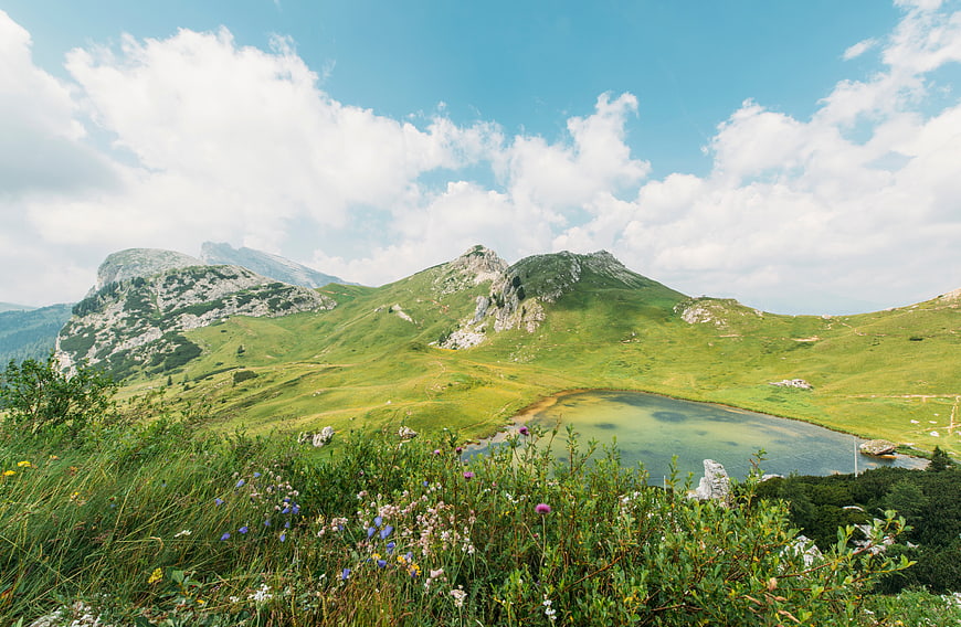 Alpine Lake Surrounded by Green Mountains and Wildflowers