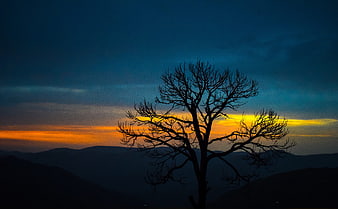 Silhouette of a bare tree against a vibrant sunset over mountain ridges