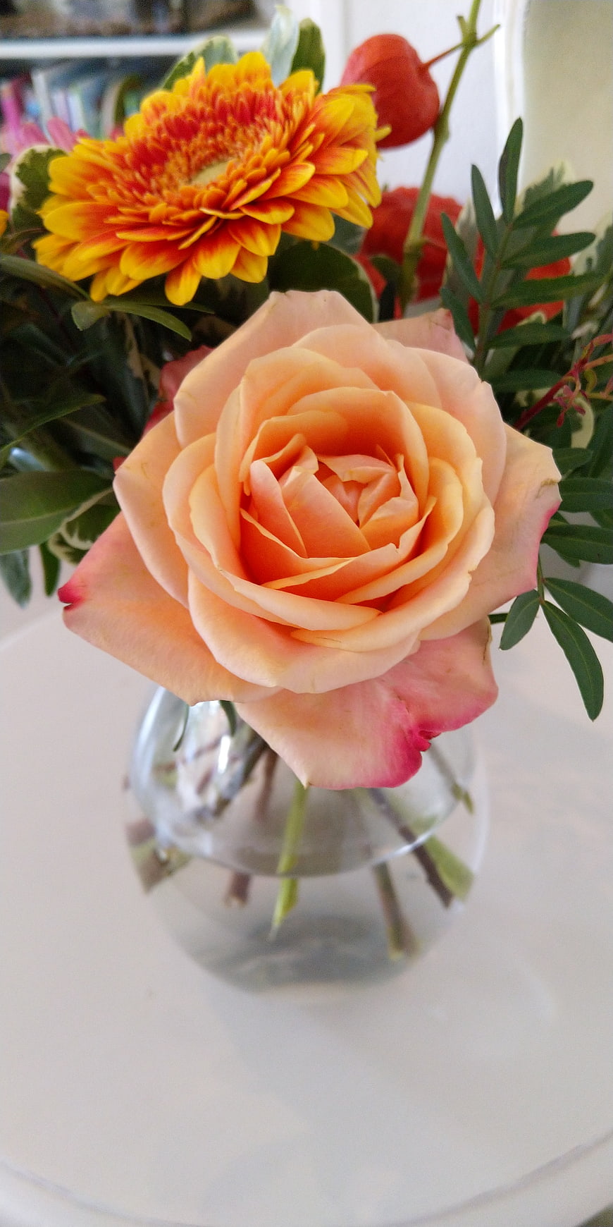 Close-up of peach rose and yellow gerbera in glass vase