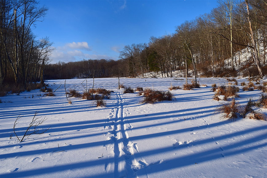 Snowy Winter Landscape with Long Shadows and Forest Trail