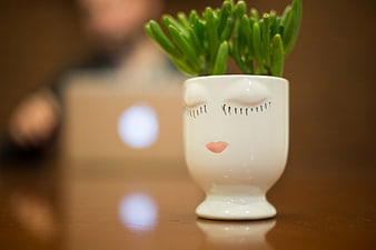 Cute Ceramic Planter with Succulent on Desk