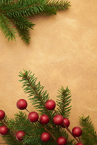 Christmas Pine Branches and Red Berries on Kraft Paper