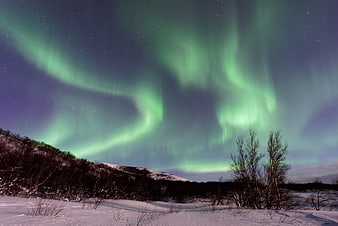 Vibrant Green Aurora Borealis Over Snowy Winter Landscape