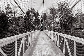 Black and White Suspension Bridge in Forest