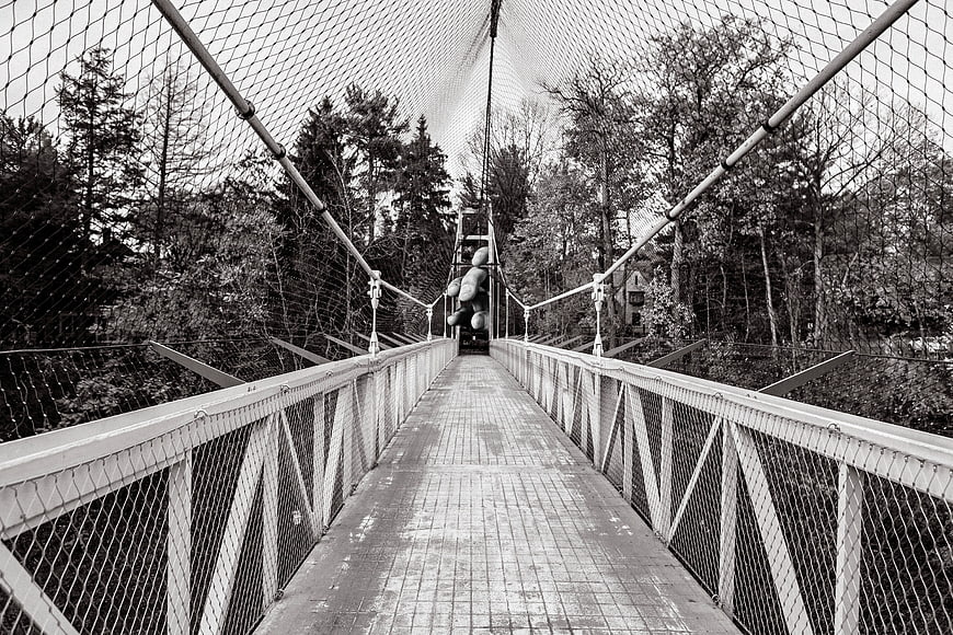 Black and White Suspension Bridge in Forest