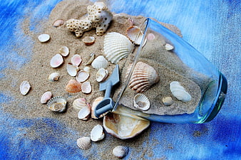 Spilled Sand and Seashells in Blue Glass on Blue Fabric